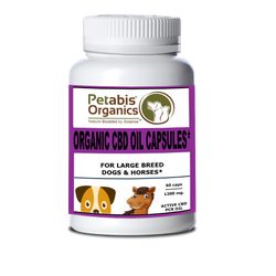 CBD HEMP OIL CAPSULES 1200 mg BULK PACK* 1200 mg ACTIVE CBD OIL, 60 PIECES 20 MG PER CAP* ORGANIC CBD CAPSULES FOR DOGS & HORSES*