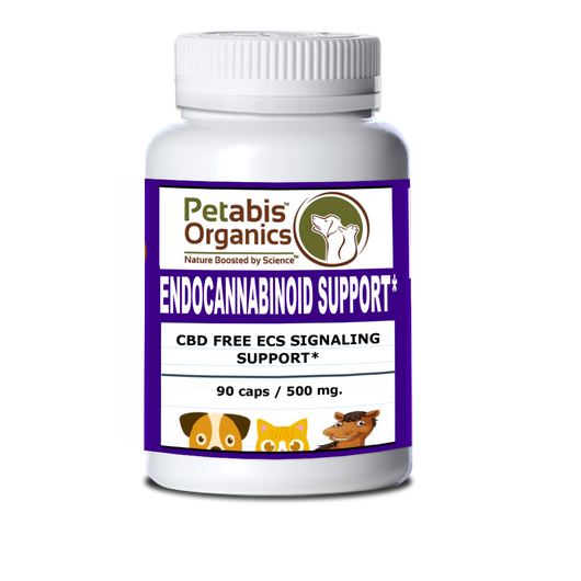 ENDOCANNABINOID CBD FREE SUPPORT 90 CAPSULES* CBD FREE ECS SIGNALING SUPPORT* DOGS & CATS