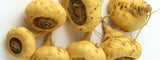 HEMP HEART DAILY JOINT & ACTIVE BODY SUPPORT TREATS 60 Pieces*  8.75 Oz TURKEY, SACHA INCHI & CHIA
