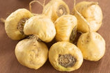 HEMP HEART WHOLE BODY IMMUNE TREATERS 15 Pieces* TURKEY & TURMERIC 15 Pieces 2.35 Oz.