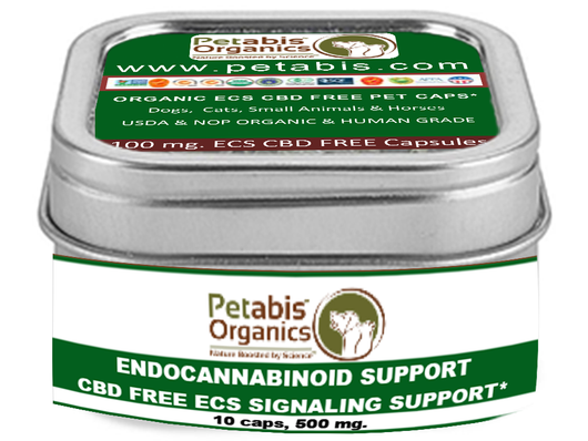 ENDOCANNABINOID SUPPORT 10 PACK CAPSULES* CBD FREE ECS SIGNALING SUPPORT*